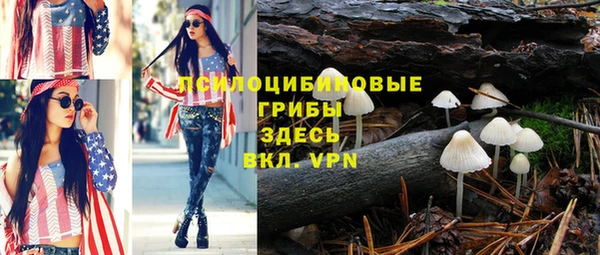 гашик Аркадак