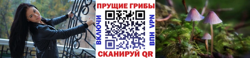 Галлюциногенные грибы мицелий  Кудымкар 